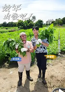 小说影视化观察封面